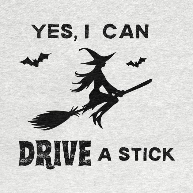 Yes, I Can Drive A Stick by onestarguitar